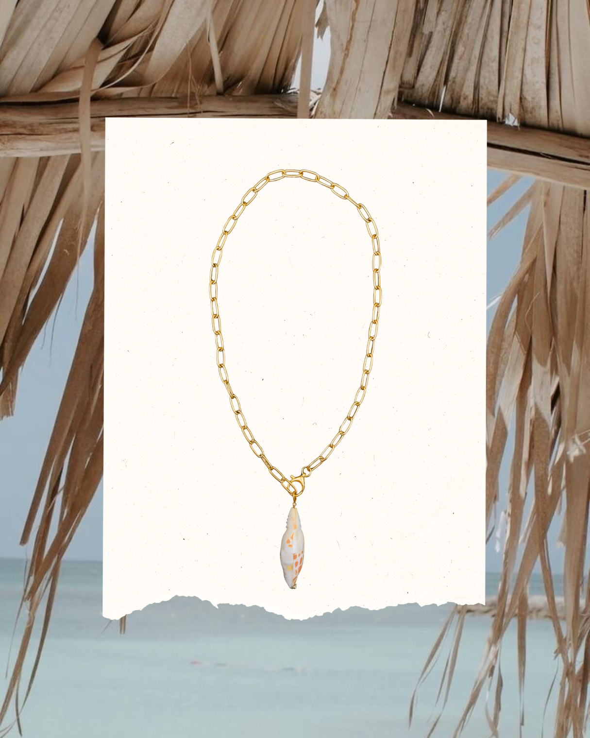 The Drift Shell Charm Necklace