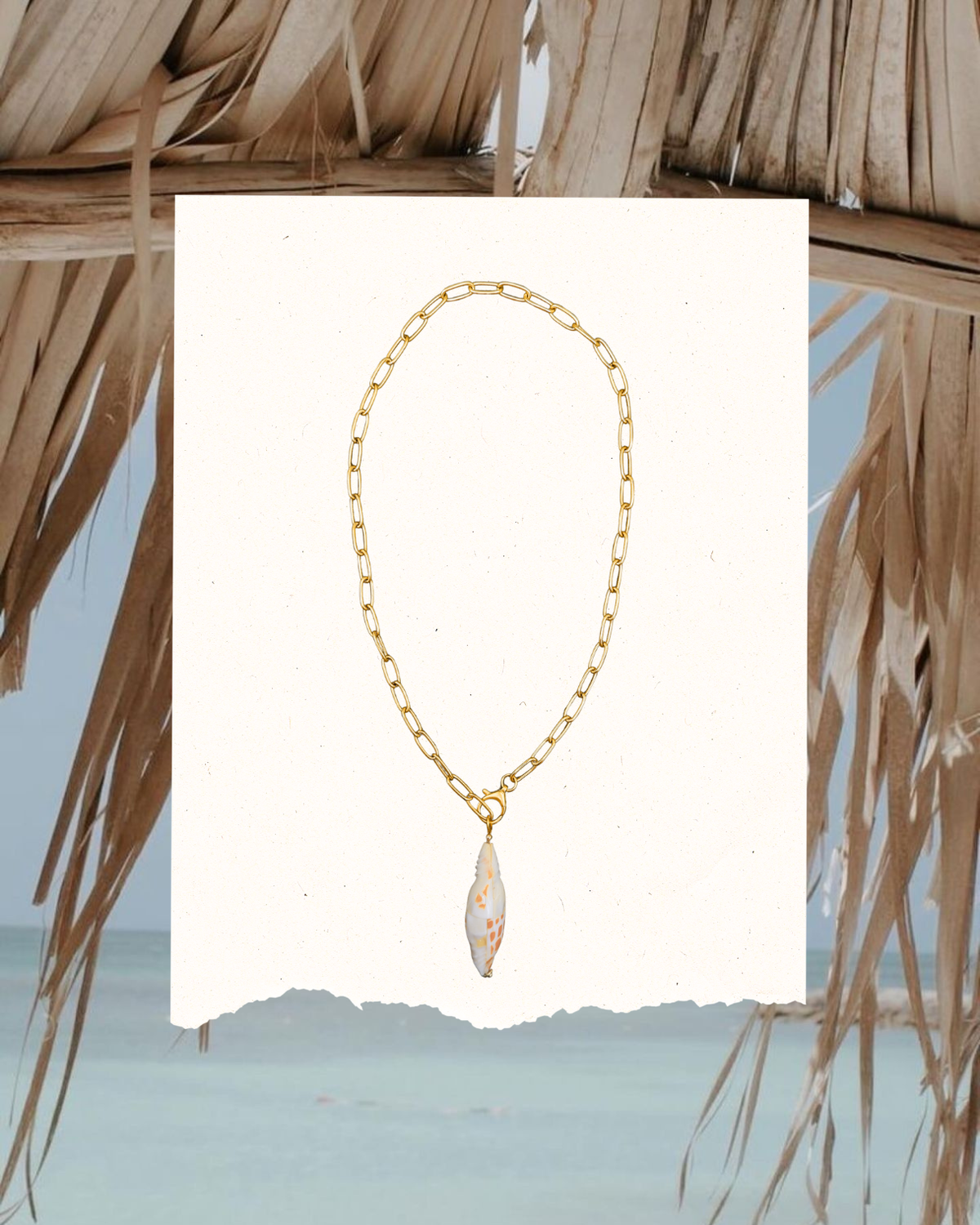 The Drift Shell Charm Necklace