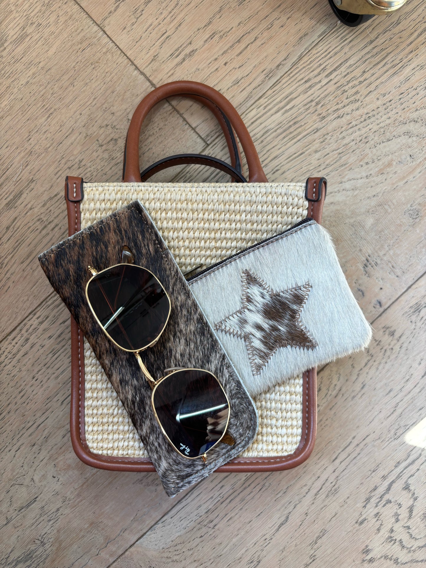 The Hide Glasses Case