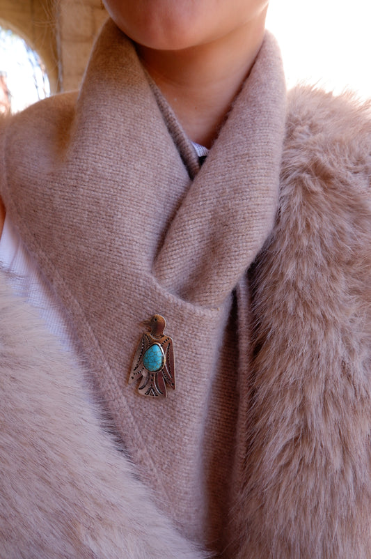 The Thunderbird Pin
