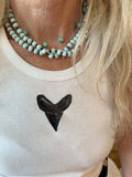 The Nanny Sharks Tooth Tank
